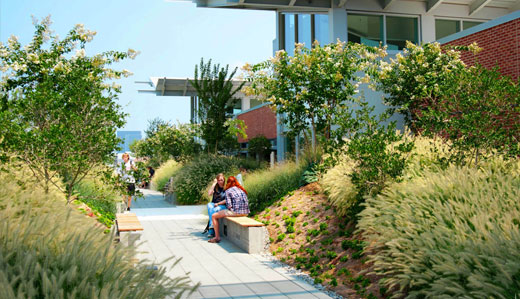 A concrete path through a natural landscape hosts students enjoying the green spaces on Georgia Tech’s campus.